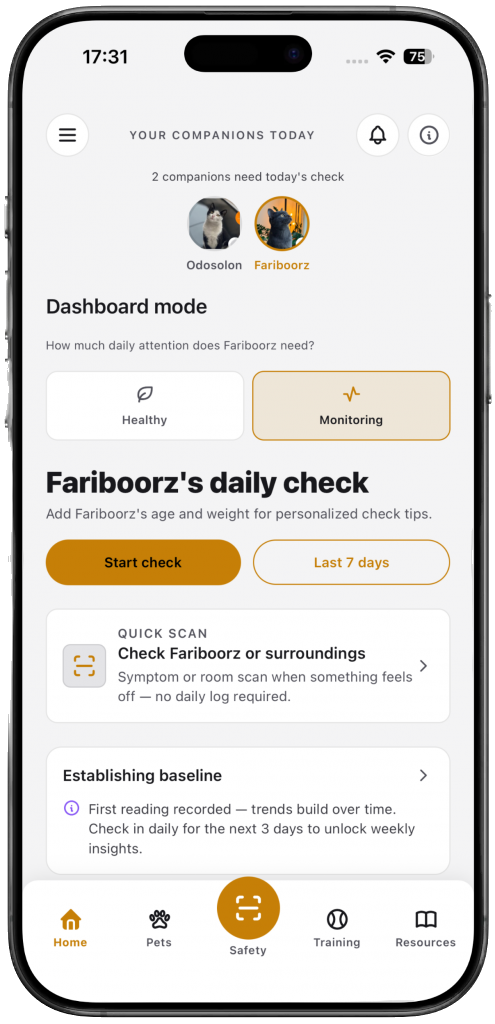 Borzi screenshot 1
