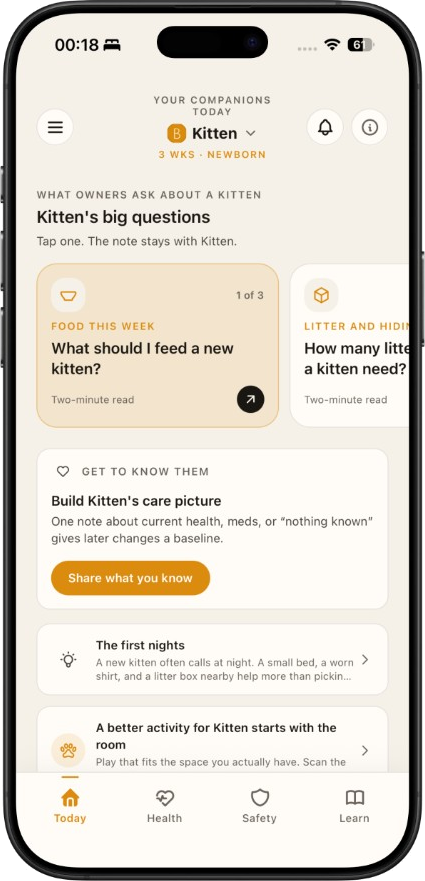 Borzi home screen for a kitten, with care questions and a baseline prompt