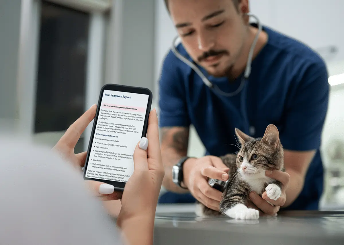 How to Tell Your Vet 'The AI Found Something' (Without Them Rolling Their Eyes)