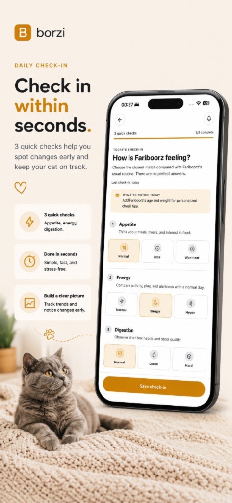 Borzi daily check-in for Fariboorz, with appetite, energy, and digestion