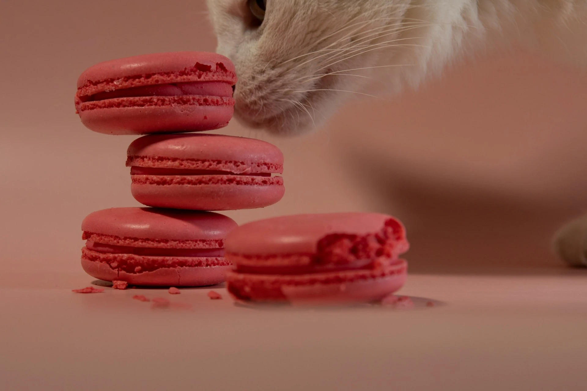 Wait, You Can't Feed Them That?